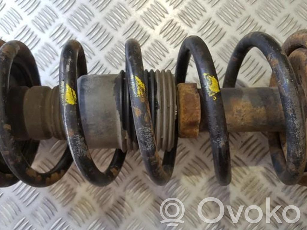 Front coil spring