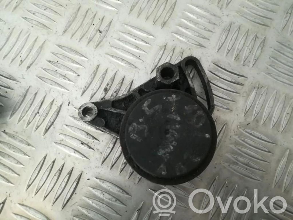 Audi A4 S4 B5 8D Tendicinghia generatore/alternatore