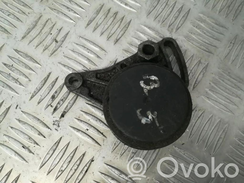 Volkswagen PASSAT B5 Tendicinghia generatore/alternatore 