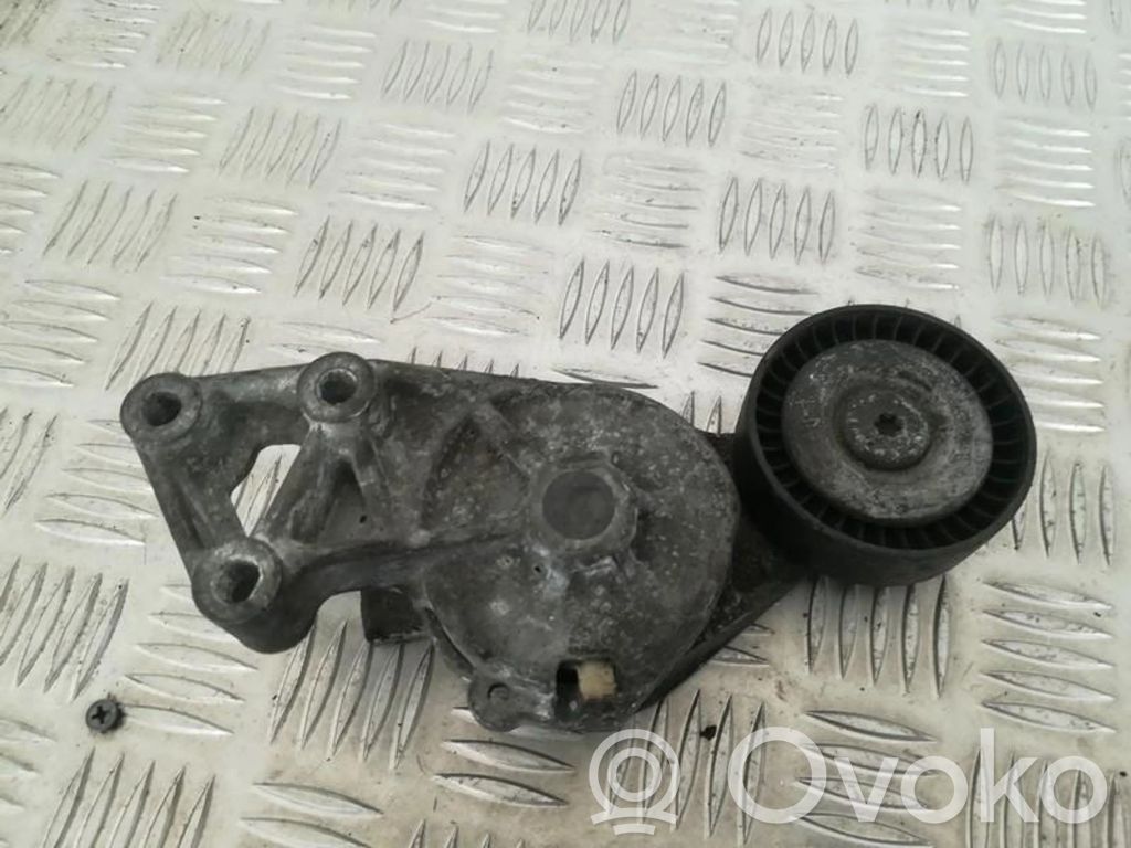 Întinzător curea generator/alternator   038903315F,038903315F