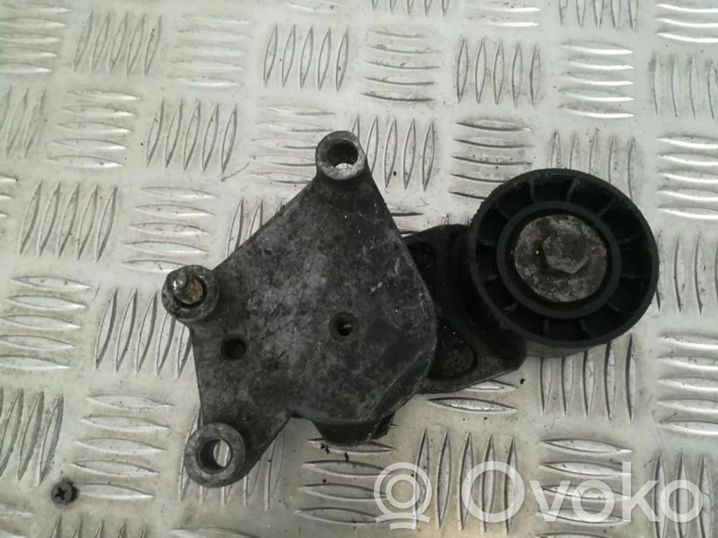 Peugeot 307 Tendicinghia generatore/alternatore 
