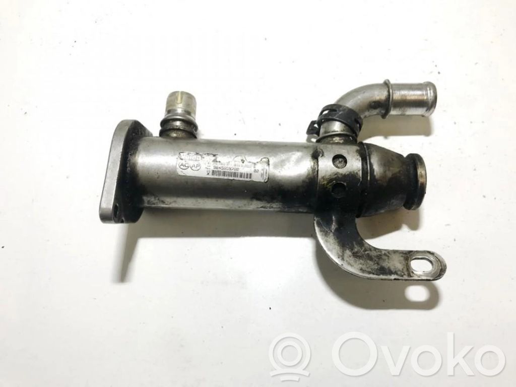 Peugeot 407 Răcitor supapă EGR 