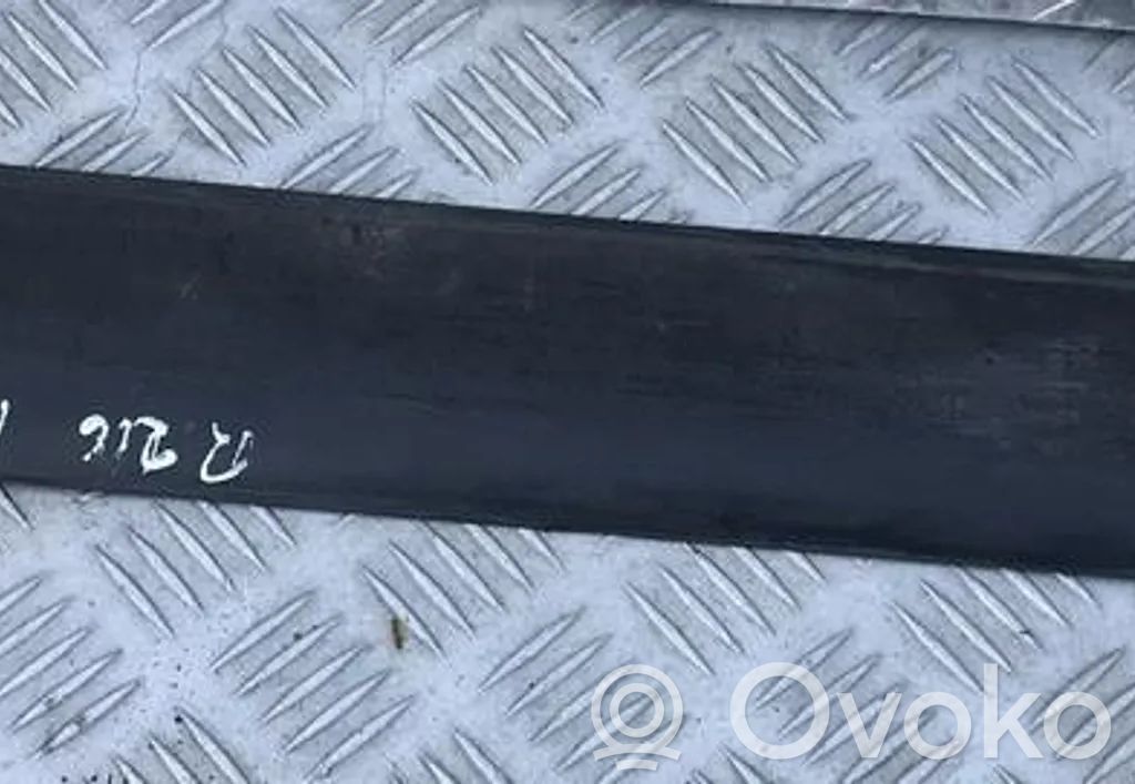 Listwa drzwi tylnych   DCD101660,DCD101660