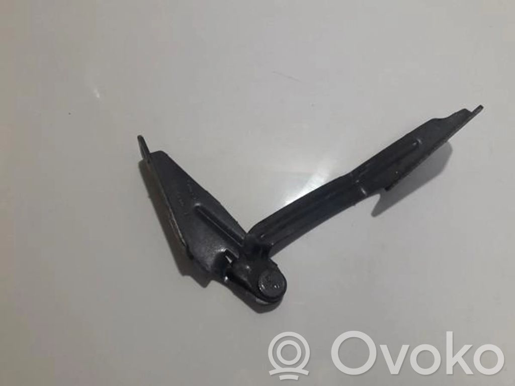 Ford Focus Cerniere del vano motore/cofano 