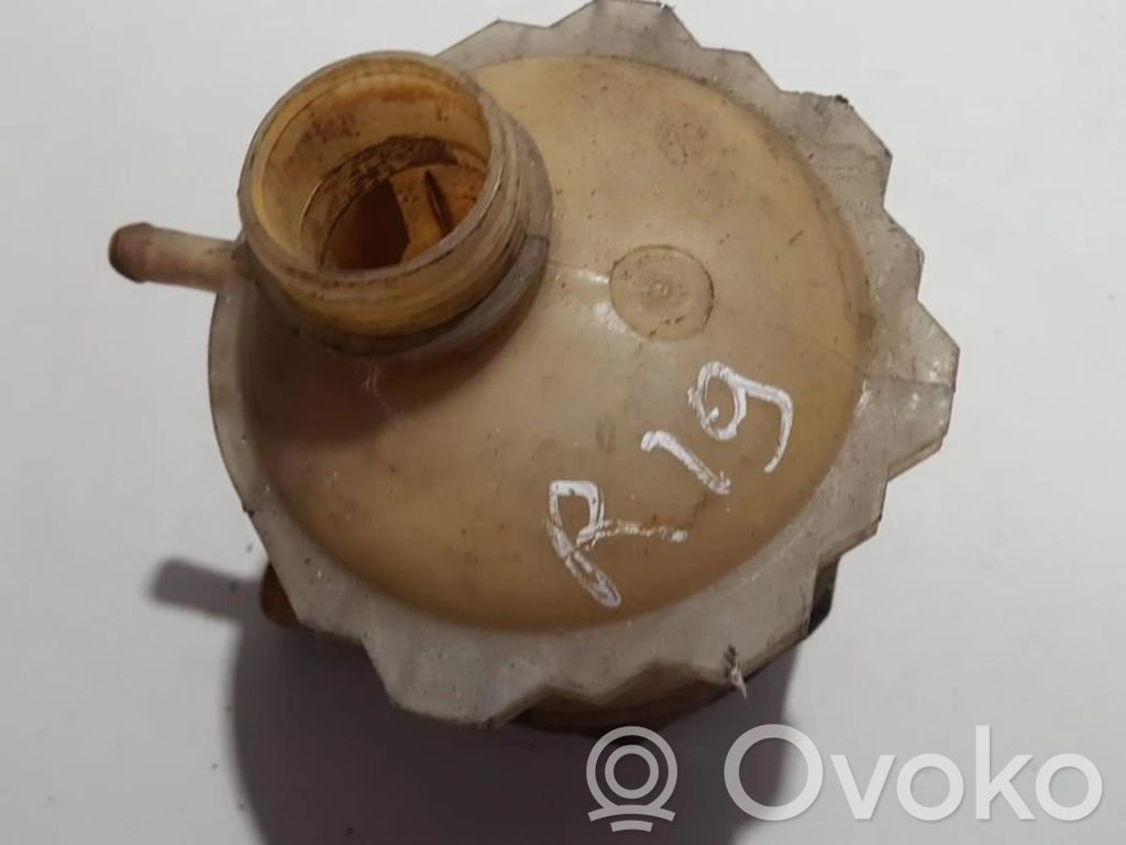Renault 19 Vas expansiune/rezervor lichid de răcire 