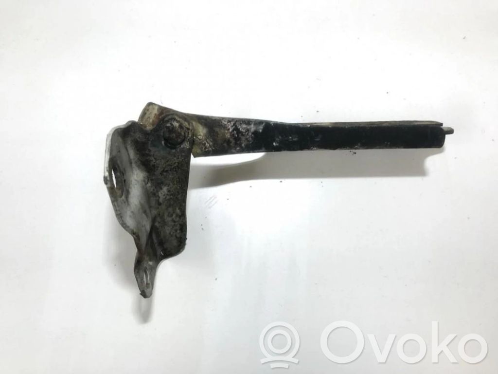 Charnière, capot moteur