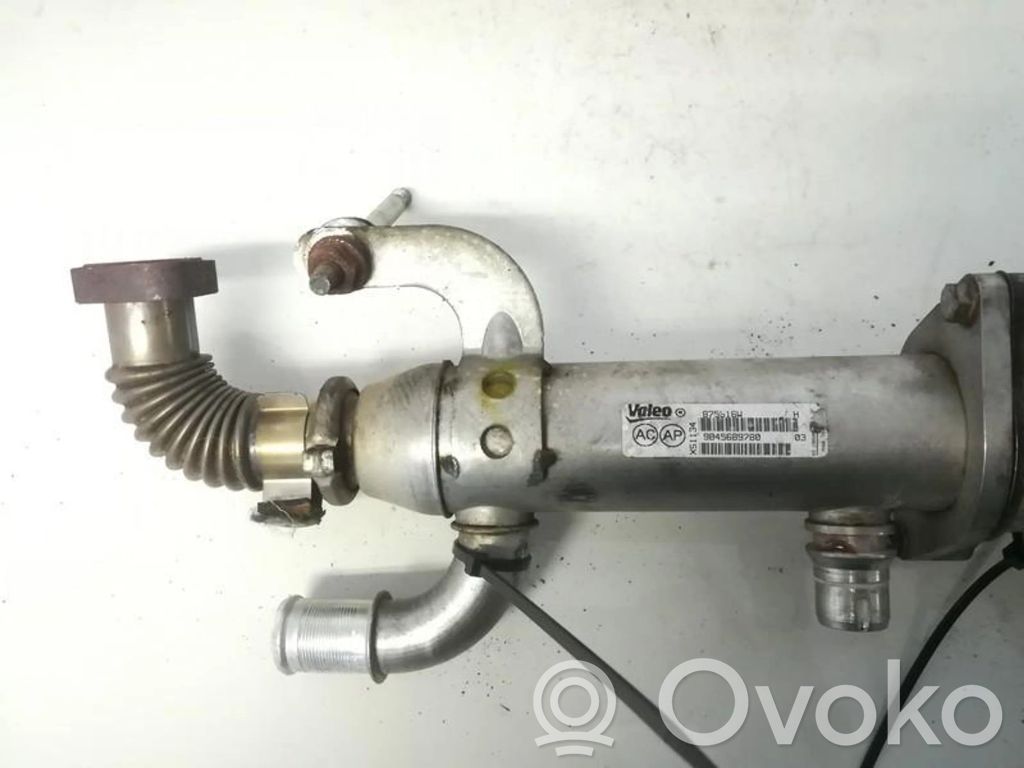 Chłodnica spalin EGR   9645689780,9645689780