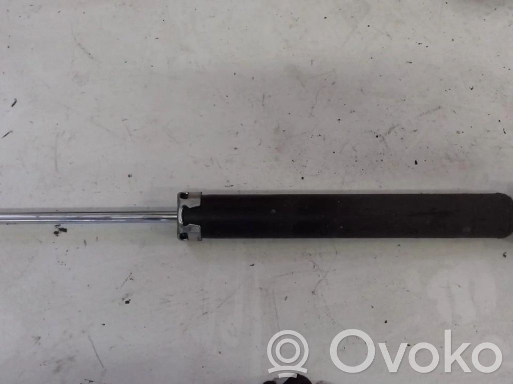 Toyota Prius (XW30) Amortizor spate