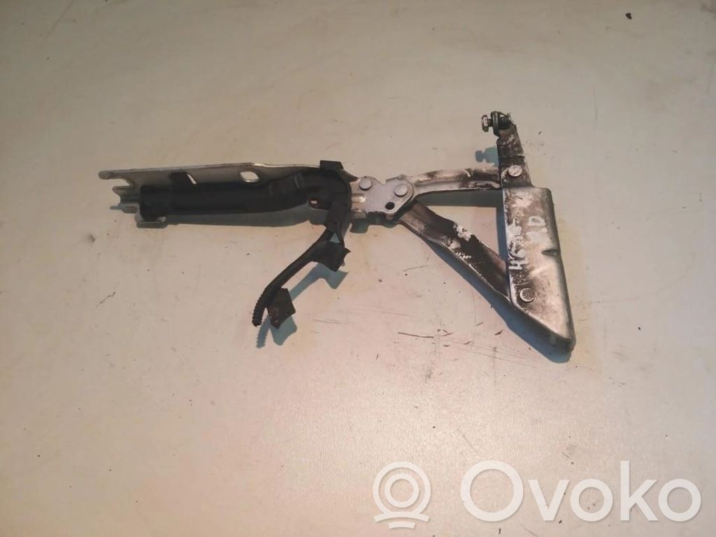 Volkswagen Golf V Balamale capotă