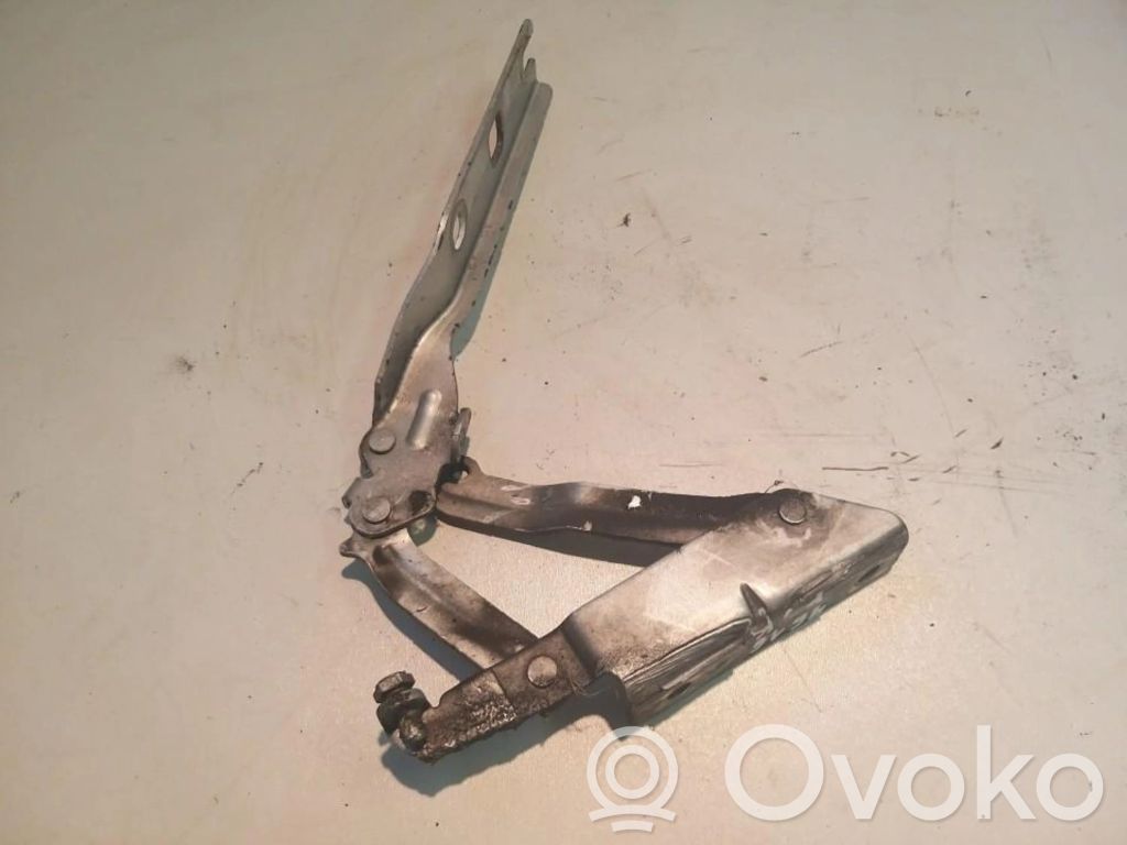 Volkswagen Golf V Cerniere del vano motore/cofano