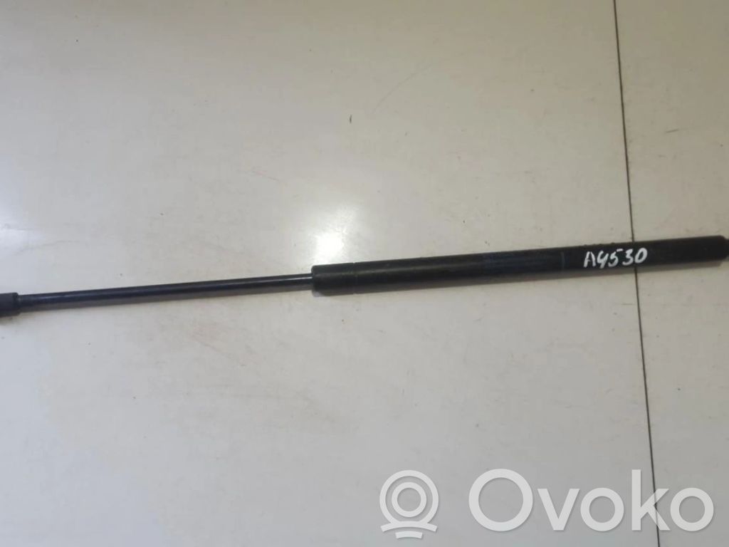 Chevrolet Captiva Gasdruckfeder Dämpfer Motorhaube 
