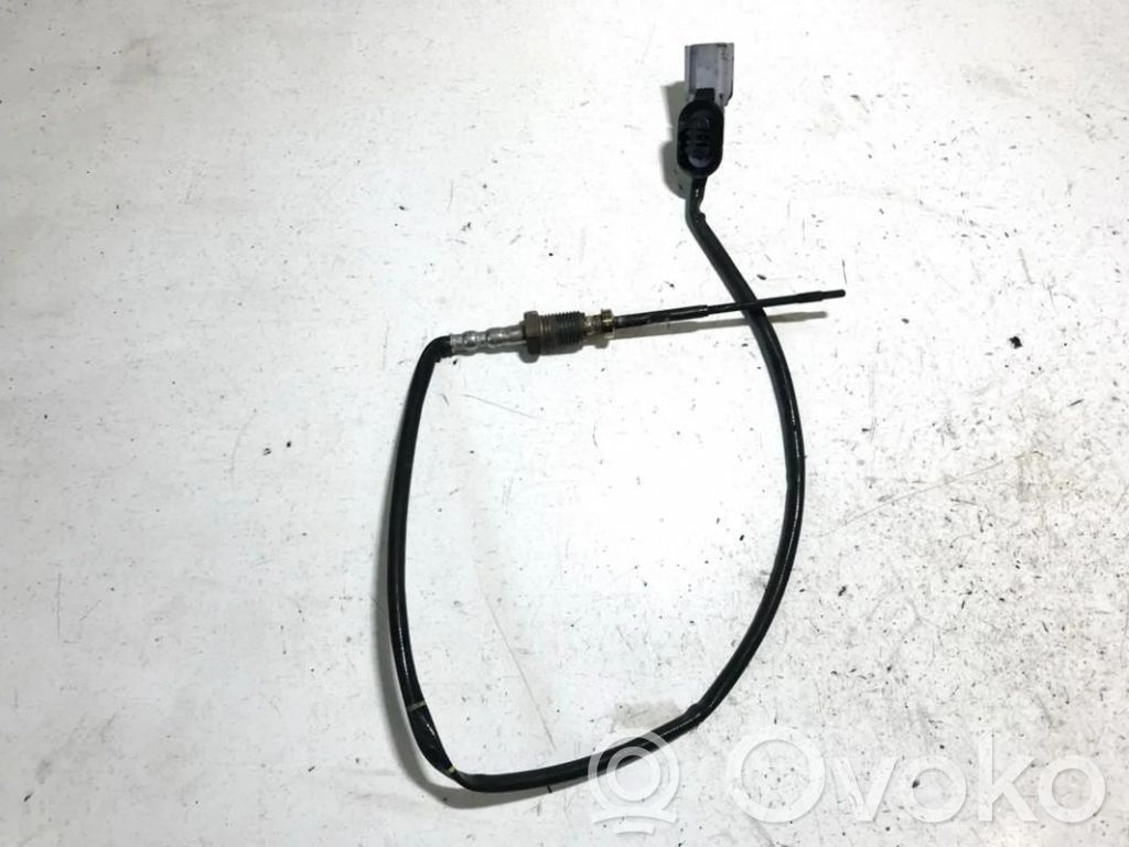 Abgastemperatursensor   226401632R,07R110881,07R110881,226401632R