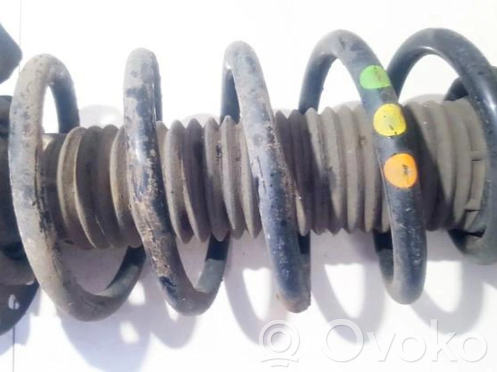 Front coil spring