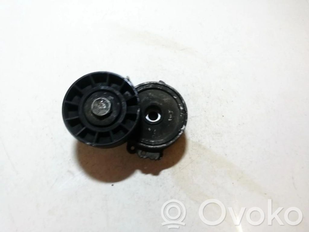 Tendicinghia generatore/alternatore