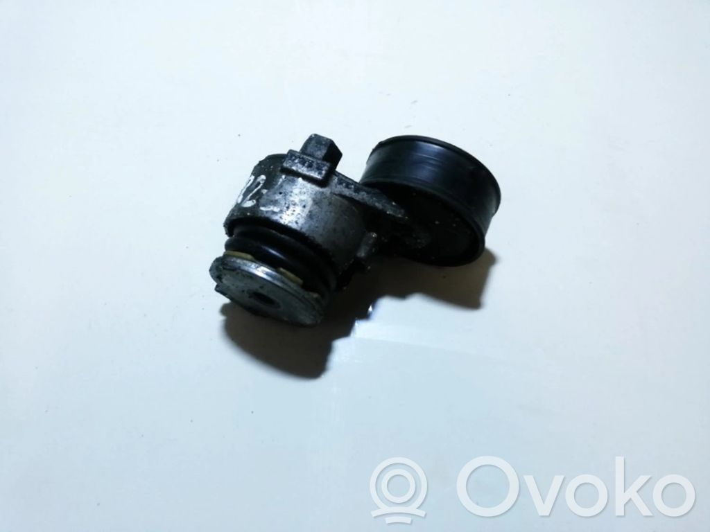 Renault Clio II Generator/alternator belt tensioner 