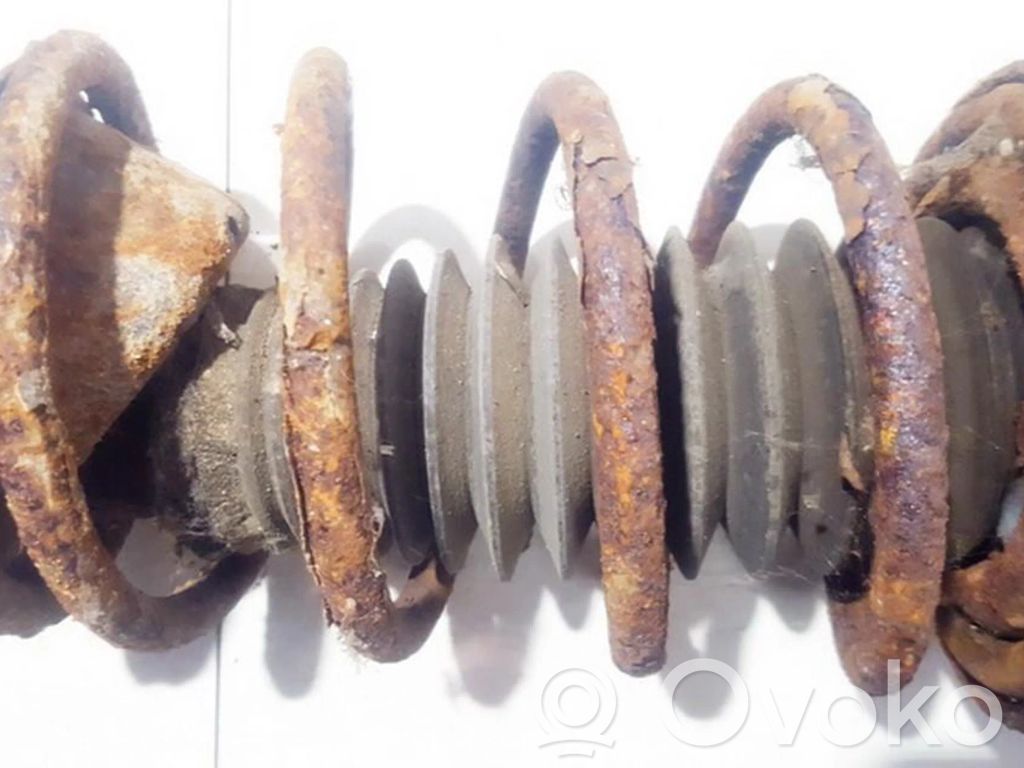 Front coil spring