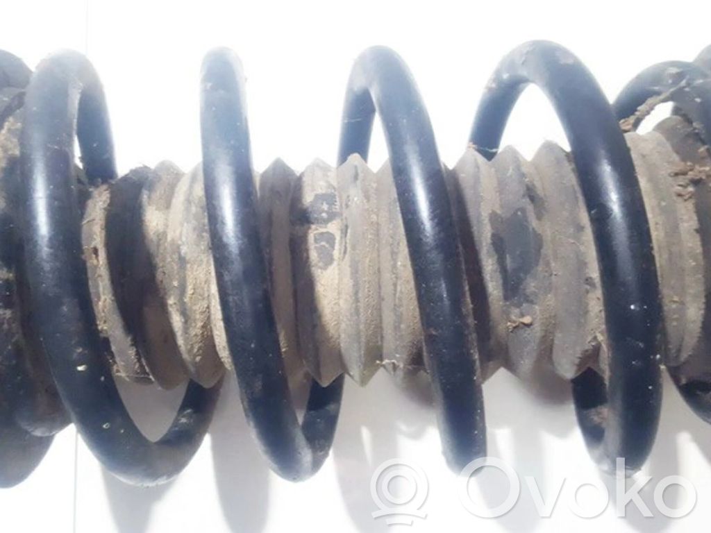 Front coil spring