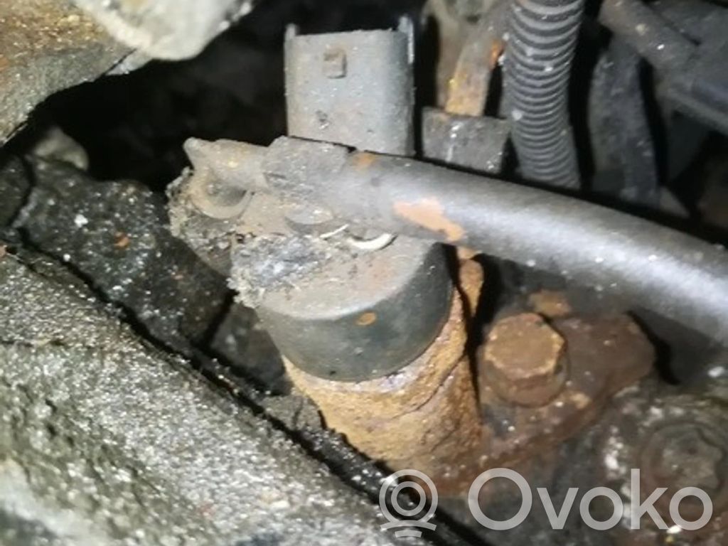 Injector combustibil   9641742880,0445110076,0445110076,9641742880