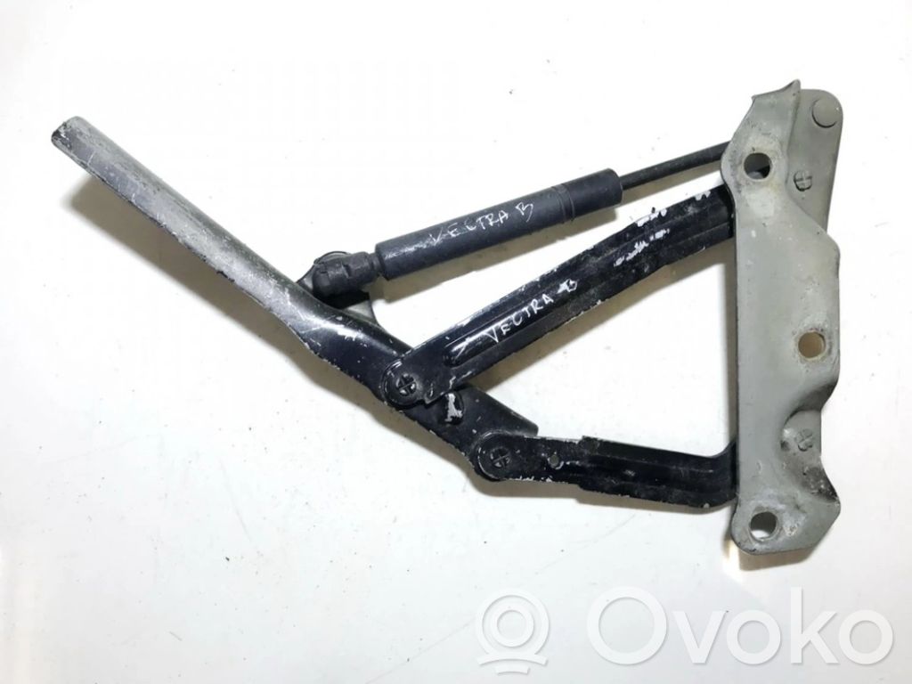 Opel Vectra B Cerniere del vano motore/cofano 