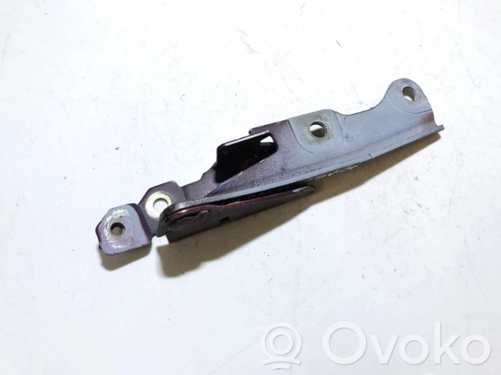 Bisagras del capó/tapa del motor