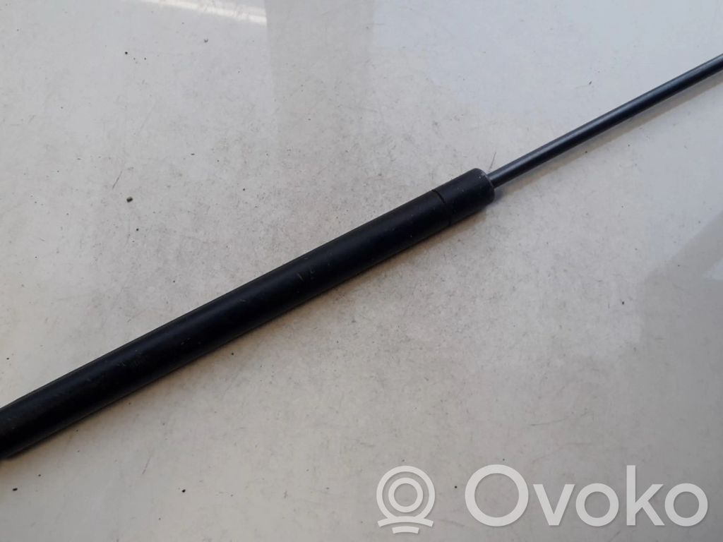 Audi A3 S3 8L Ammortizzatore portellone posteriore/bagagliaio 