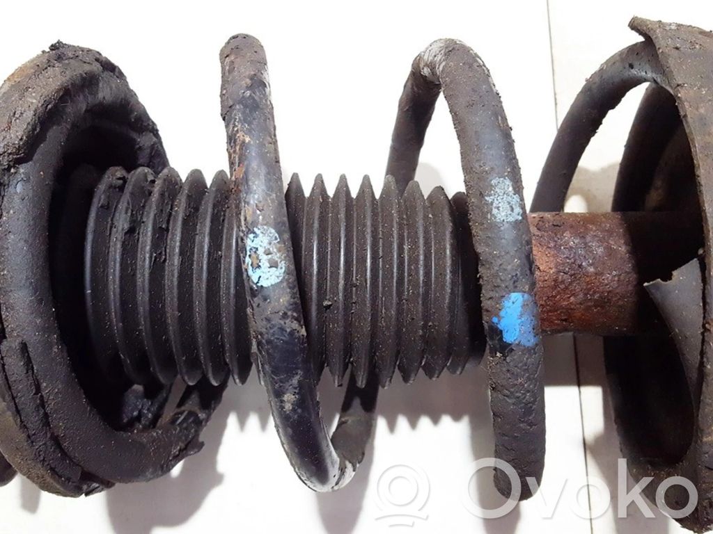 Front coil spring