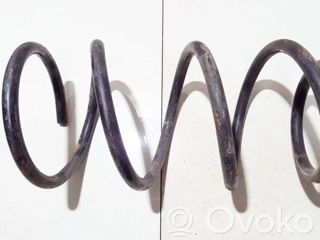Front coil spring