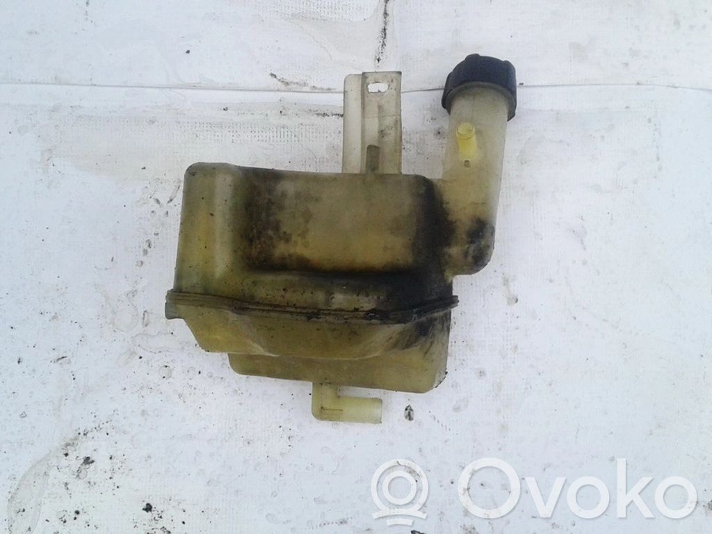 Renault Laguna II Serbatoio di compensazione del liquido refrigerante/vaschetta
