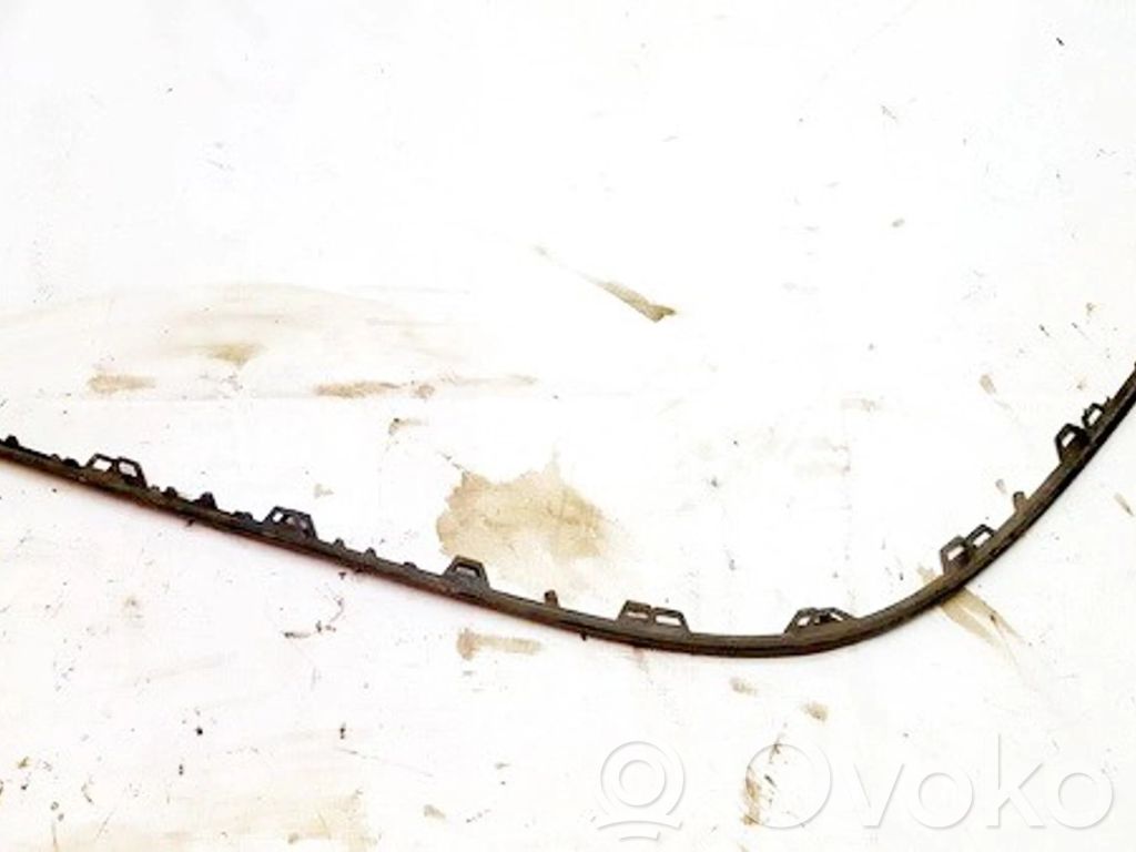 Volkswagen PASSAT B6 Ornament bară spate