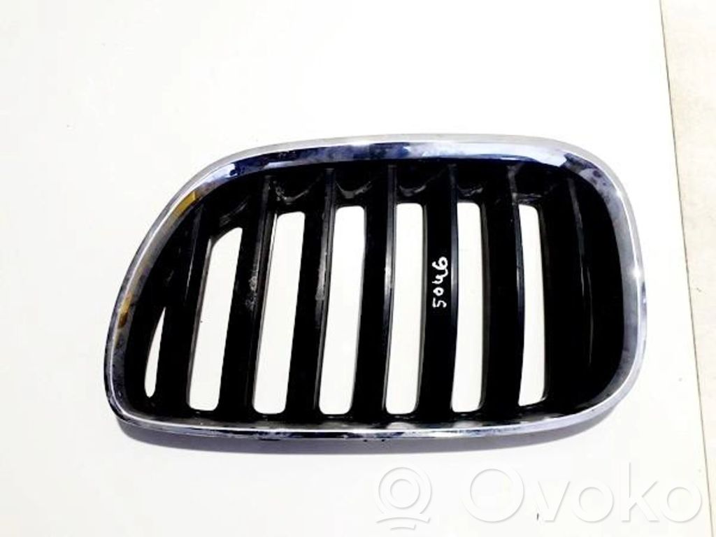 Front grill   51137113737,51137113737