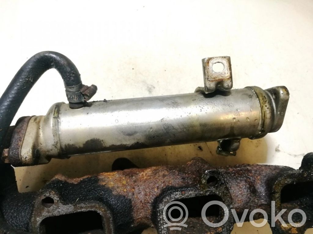 Isuzu Trooper Răcitor supapă EGR
