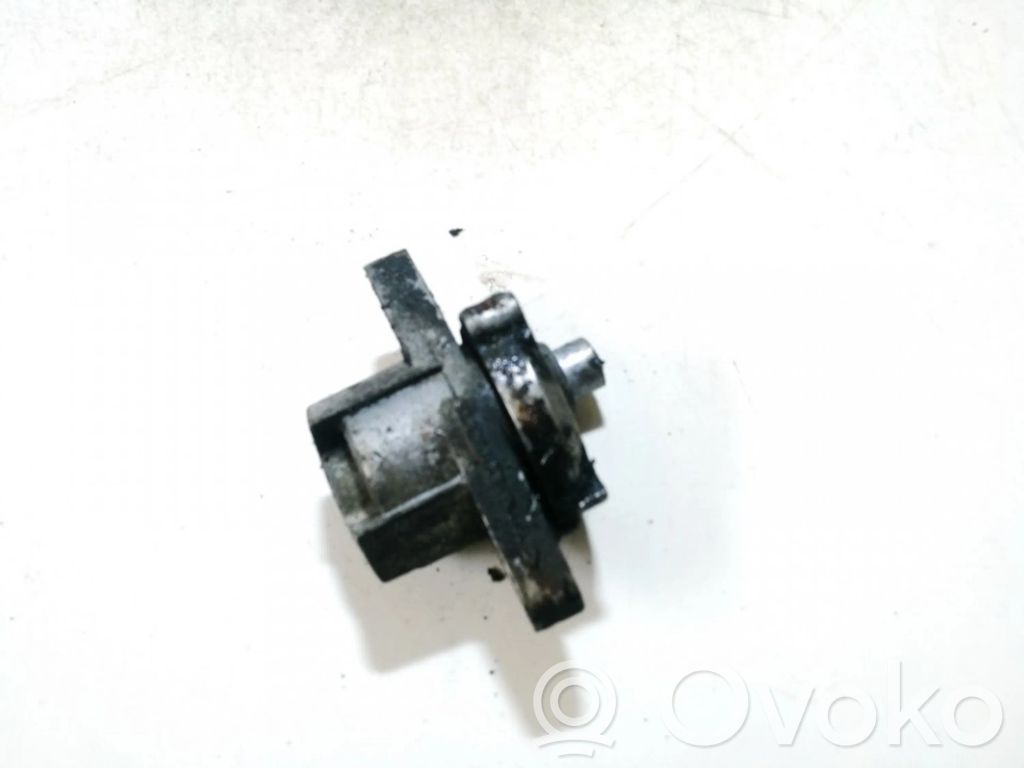 Napinacz paska alternatora   7700102872,7700102872