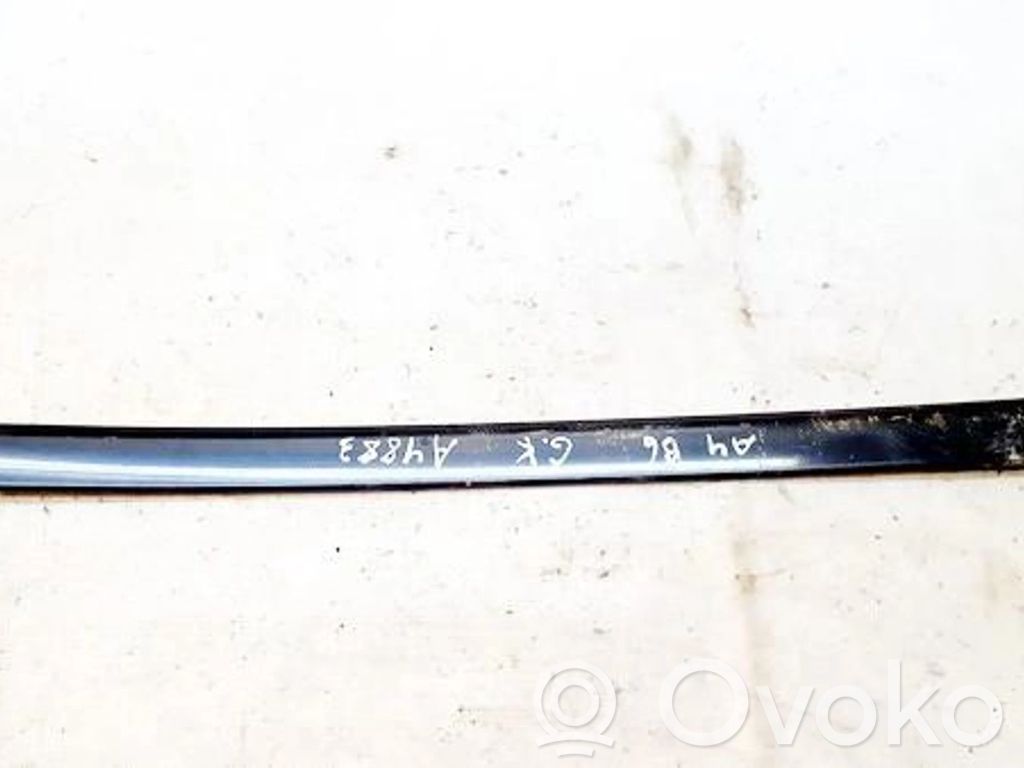 Audi A4 S4 B6 8E 8H Rivestimento portiera posteriore (modanatura) 