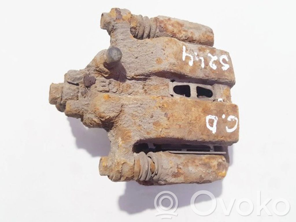 Bremssattel hinten