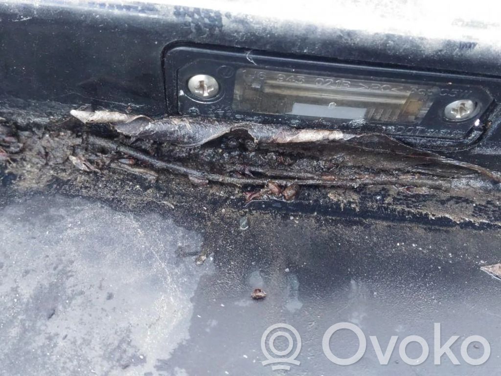 Volkswagen Golf V Lampa oświetlenia tylnej tablicy rejestracyjnej 