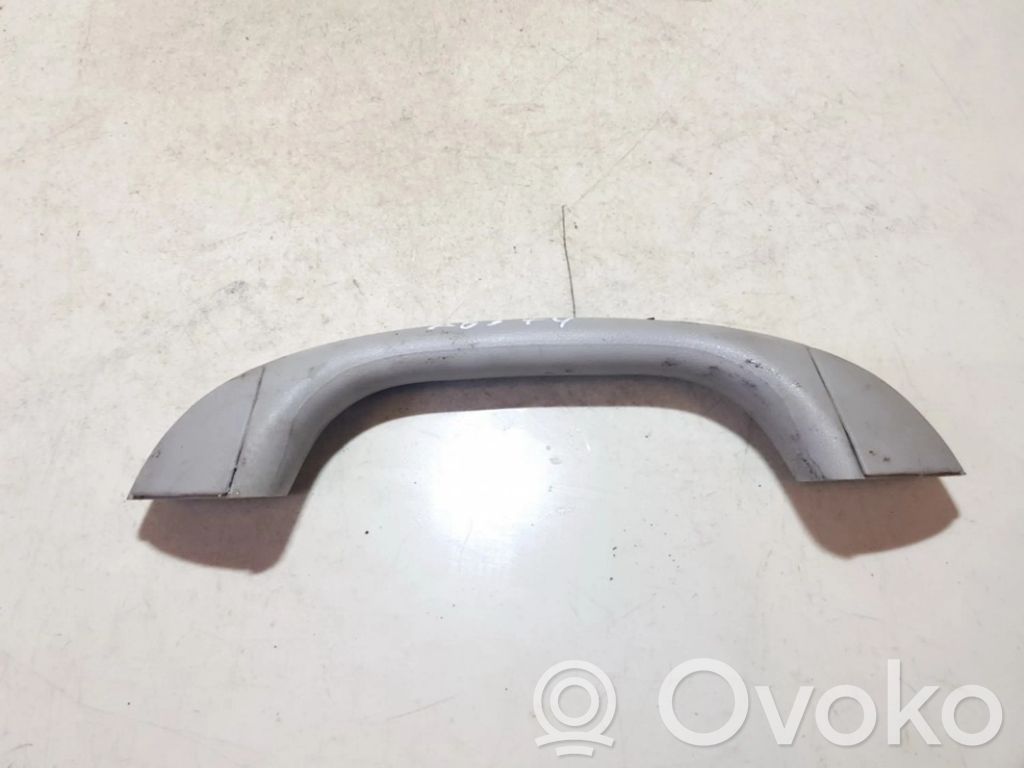 Asidero interior trasero   B25069470,B25069470