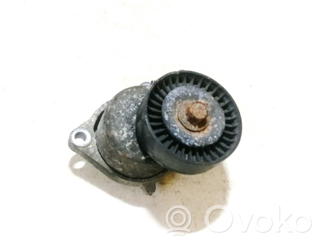 KIA Carnival Întinzător curea generator/alternator 