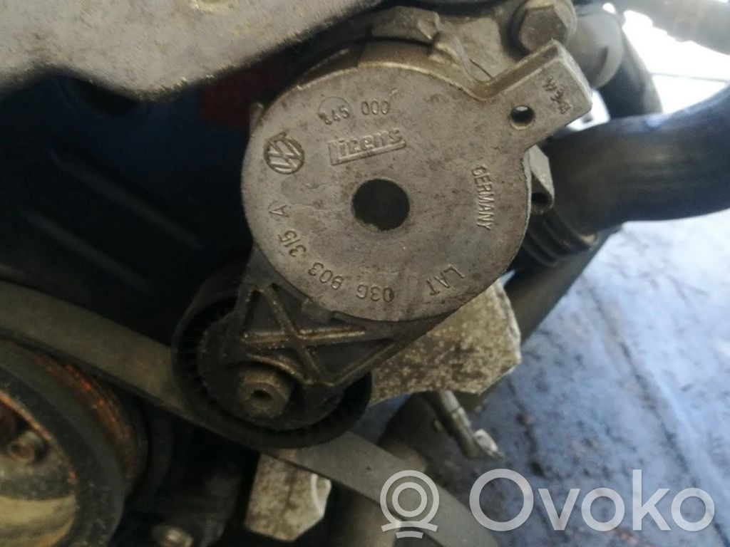 Volkswagen PASSAT B6 Întinzător curea generator/alternator