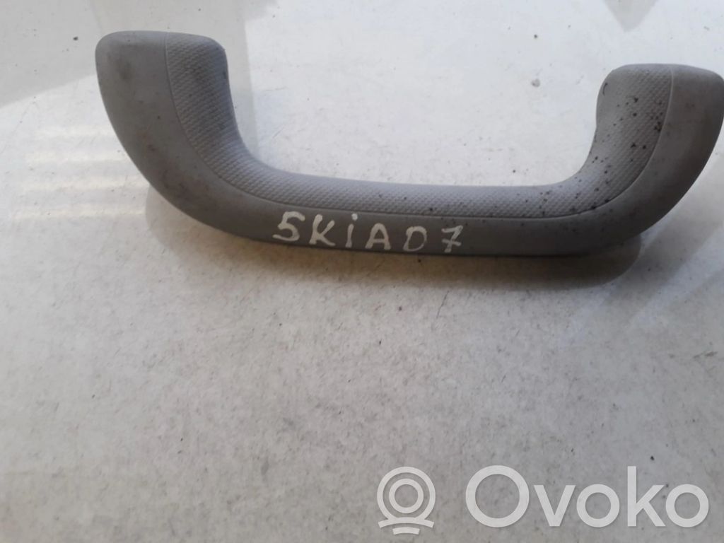 KIA Rio Mâner viraj interior ușă față 