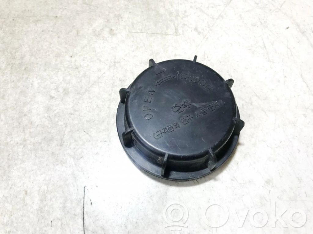 Hyundai Sonata Capac bec far