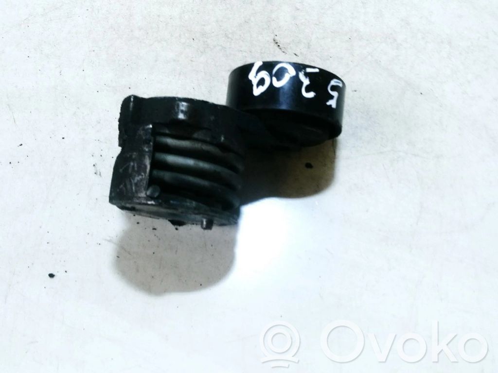Opel Antara Diržo įtempėjas 