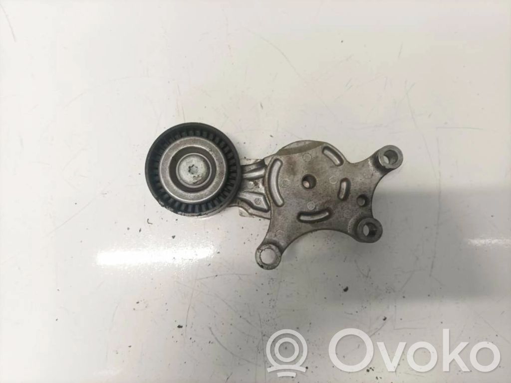 Citroen C3 Generator/alternator belt tensioner 