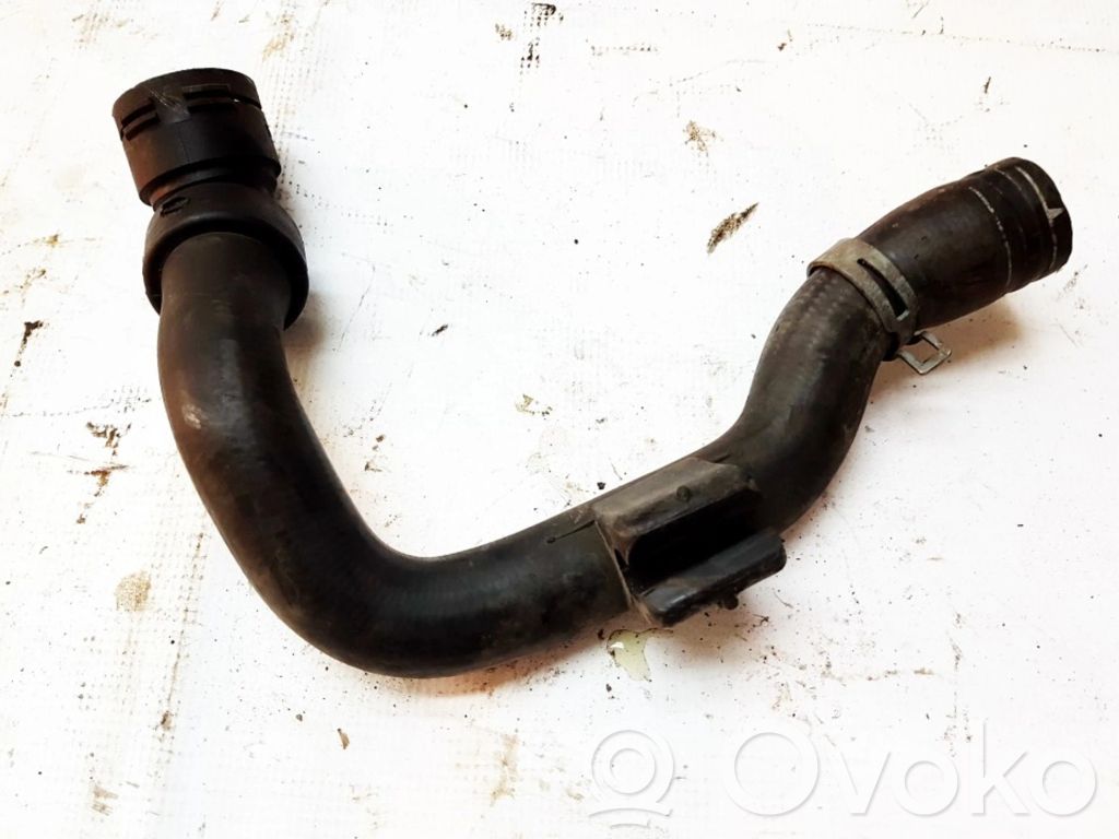 Volkswagen PASSAT B5.5 Kühlleitung / Kühlschlauch 
