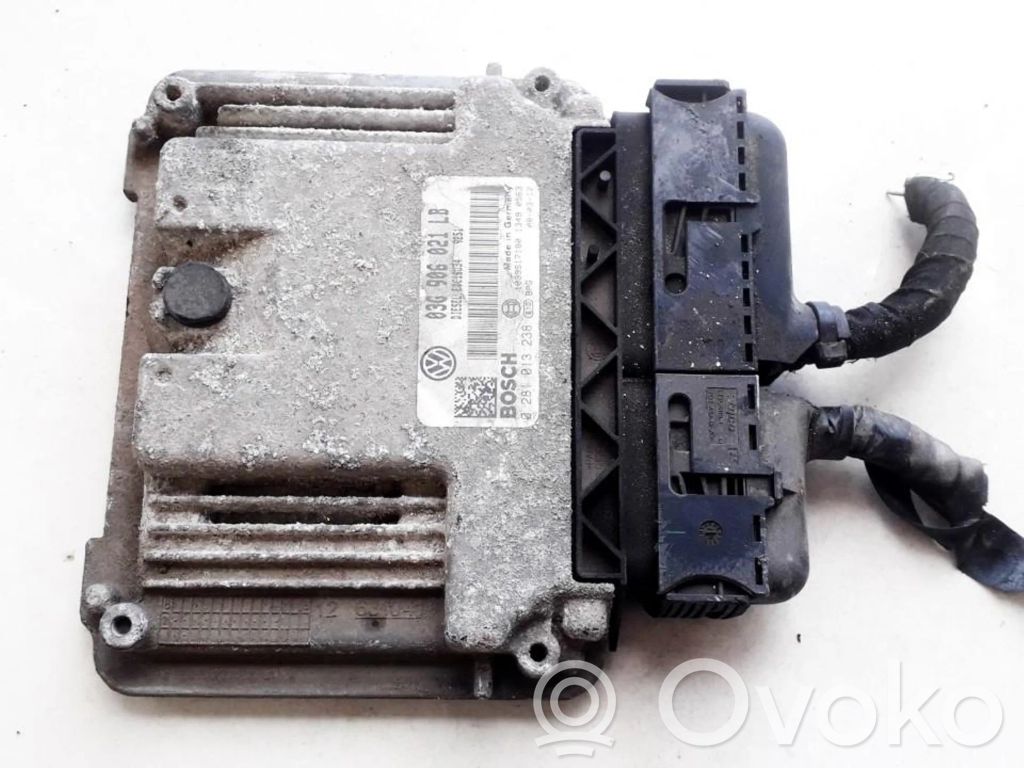 Skoda Octavia Mk2 (1Z) Unitate/modul de control motor