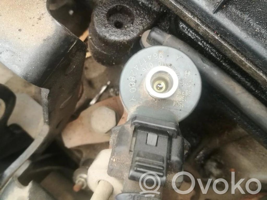 Peugeot 307 Injector combustibil 