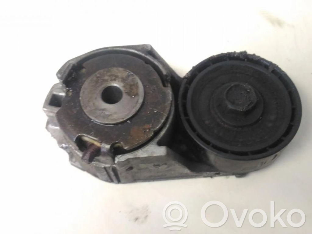 Audi A6 S6 C5 4B Întinzător curea generator/alternator 