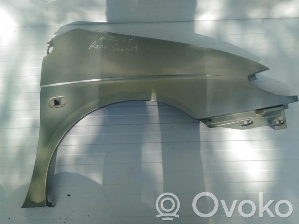 Renault Scenic I Guardabarro 