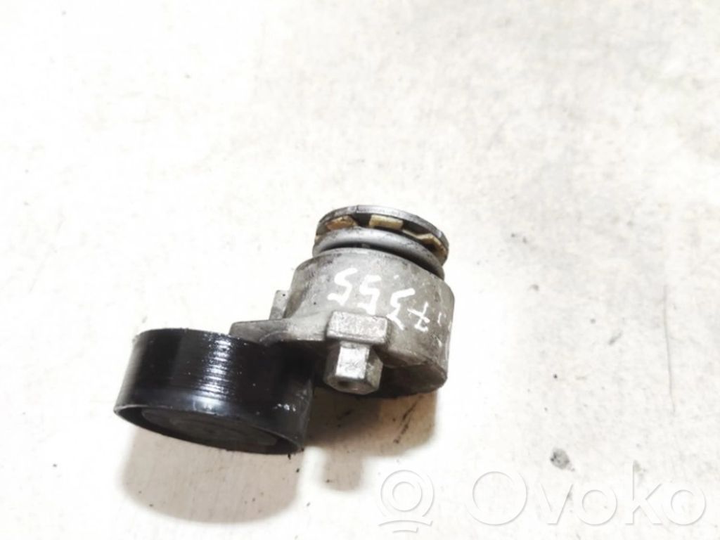 Întinzător curea generator/alternator   8200861569,8200861569