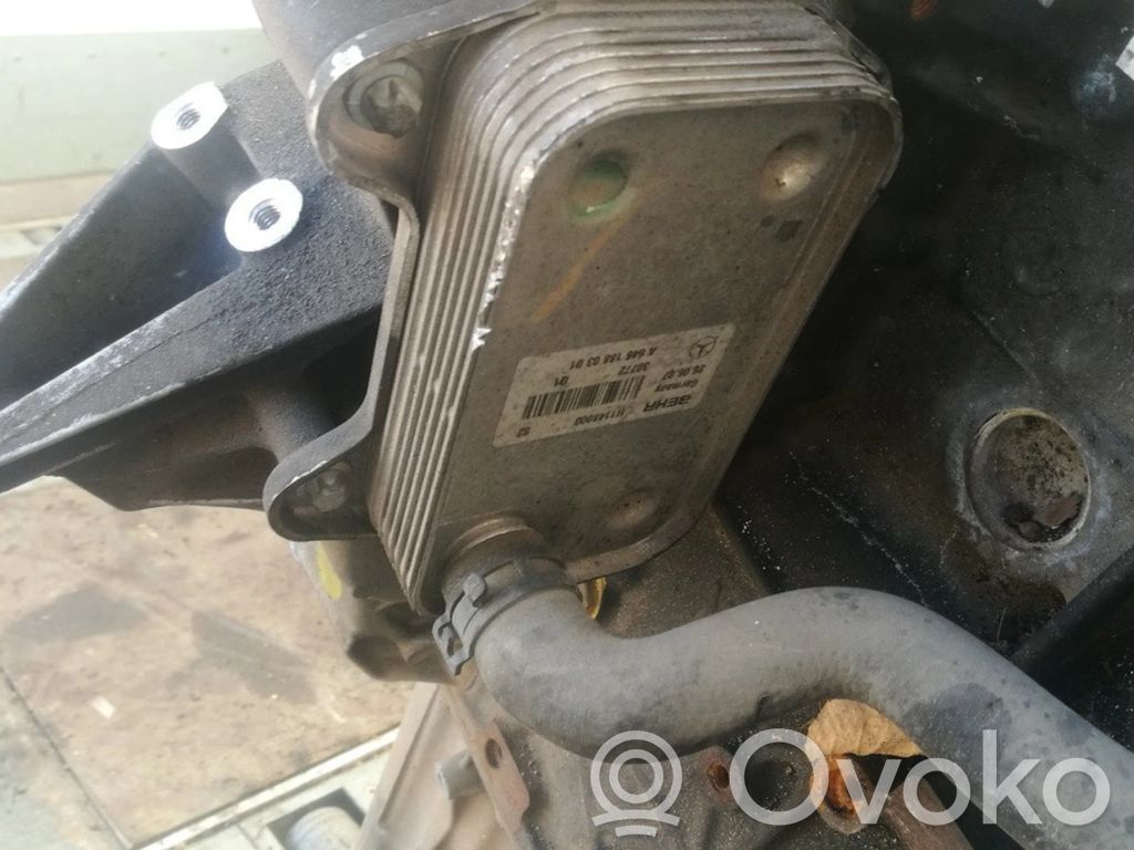 Mercedes-Benz Sprinter W906 Radiatore dell’olio del motore 