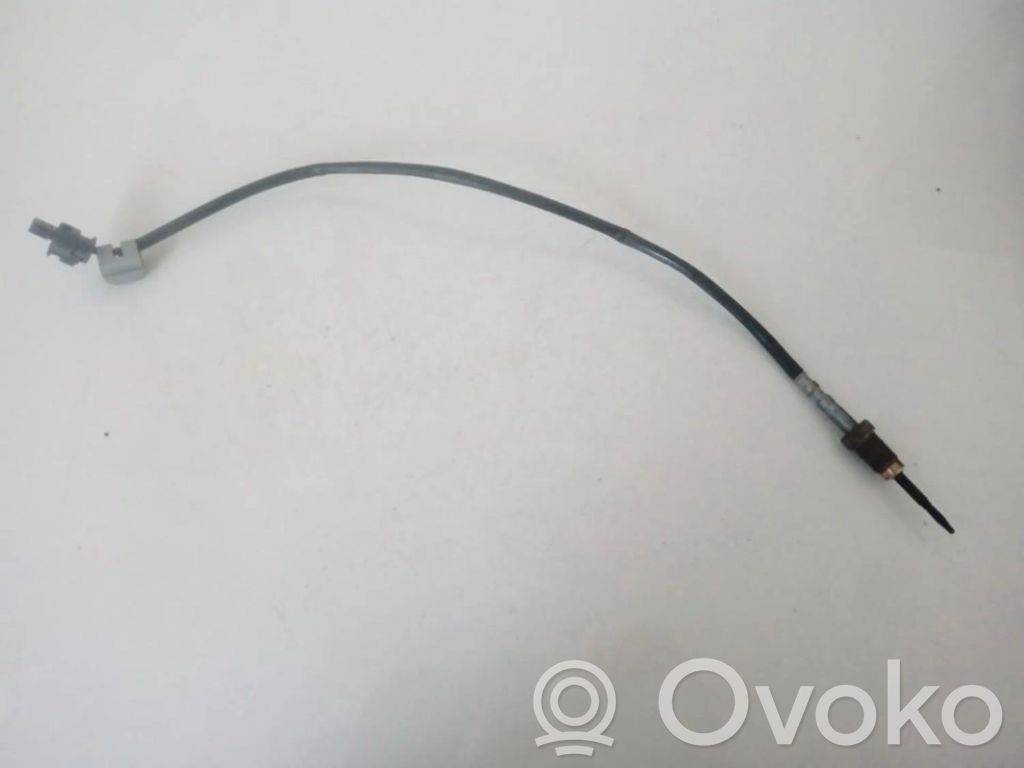 Abgastemperatursensor   7806254,7806254